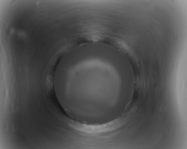 X0000088920043200706151933