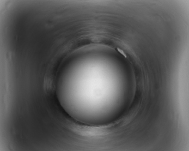 X0000088920044200706151933