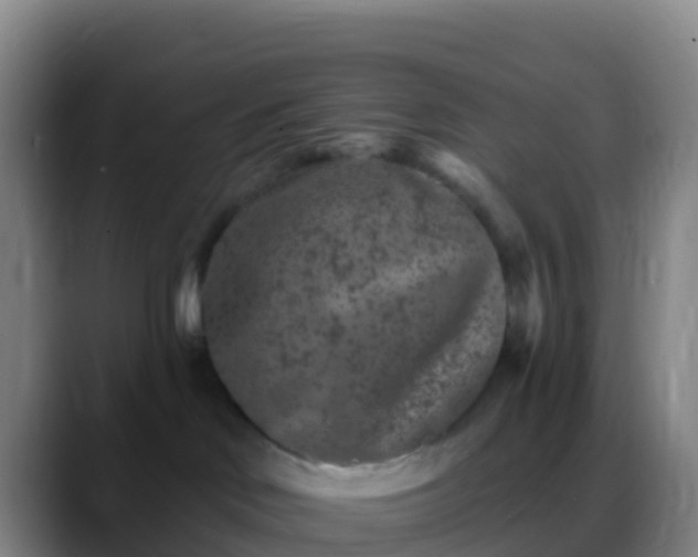 X0000088920046200706151933