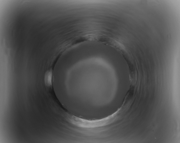 X0000088920047200706151933