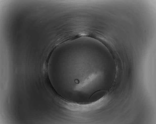 X0000088920048200706151933