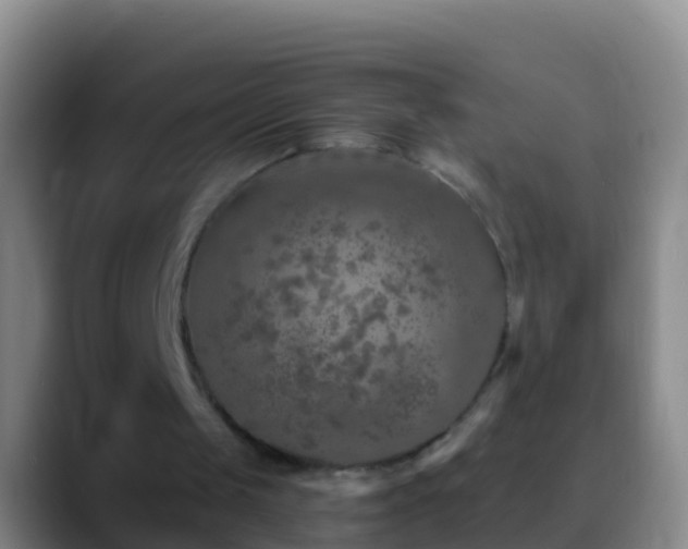 X0000088920049200706151932