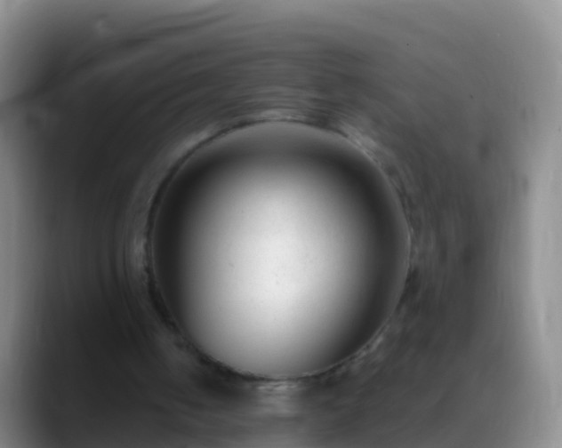 X0000088920050200706151932