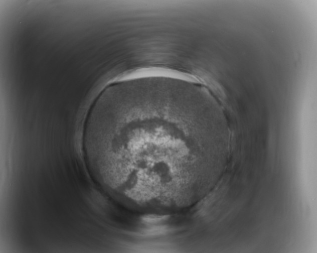 X0000088920051200706151932