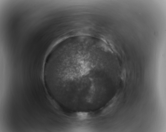 X0000088920052200706151932