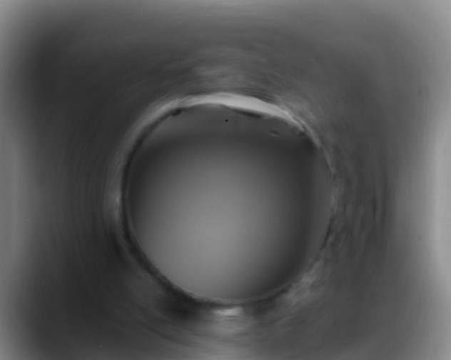 X0000088920054200706151932