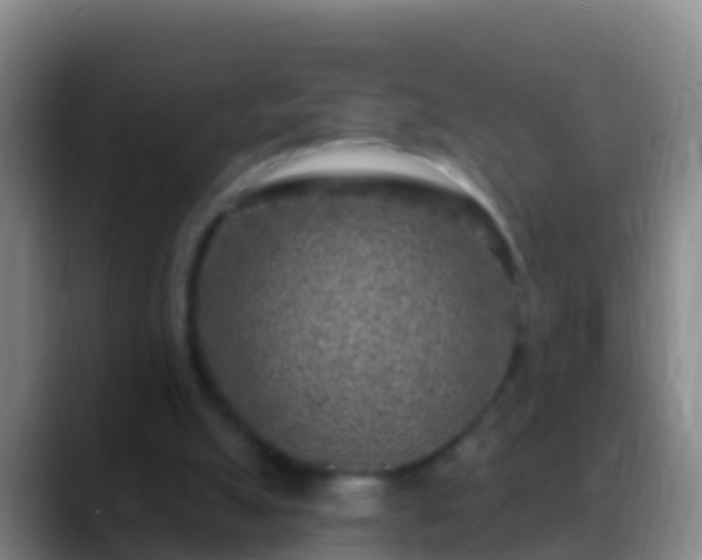 X0000088920055200706151932