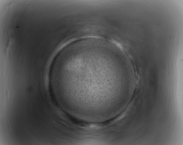 X0000088920056200706151932