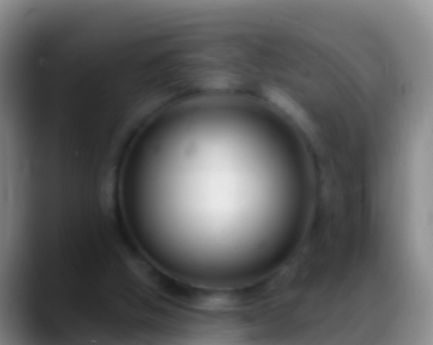 X0000088920058200706151932