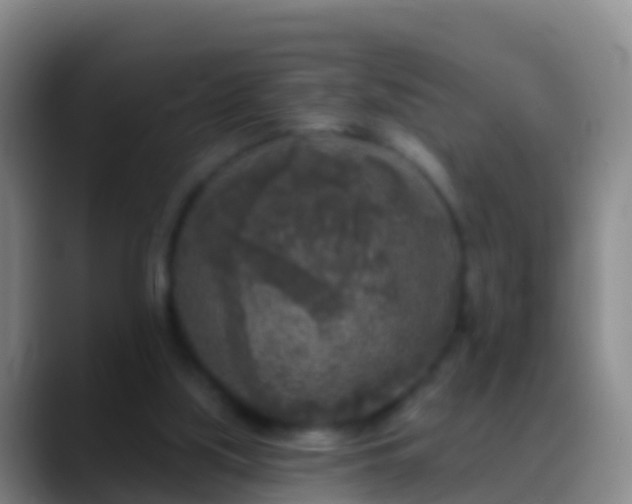 X0000088920059200706151932