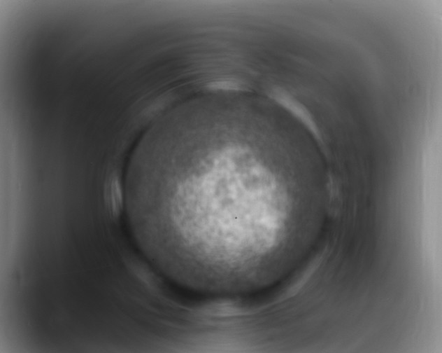 X0000088920061200706151932