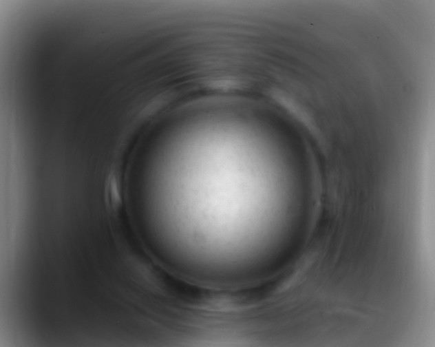 X0000088920062200706151932