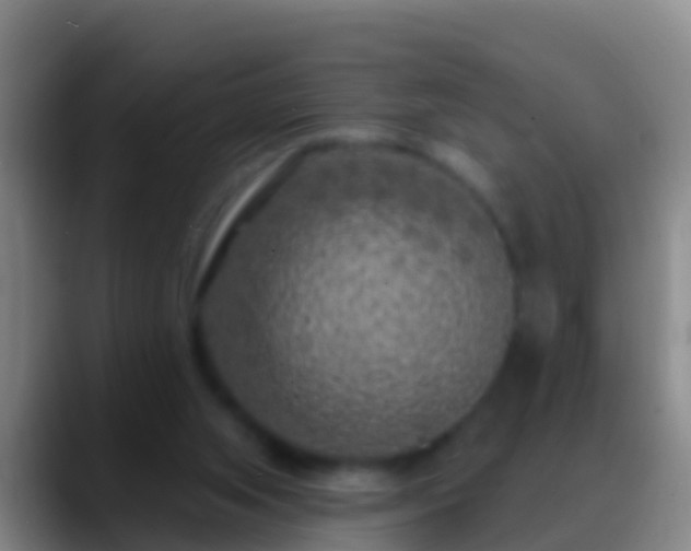X0000088920063200706151932