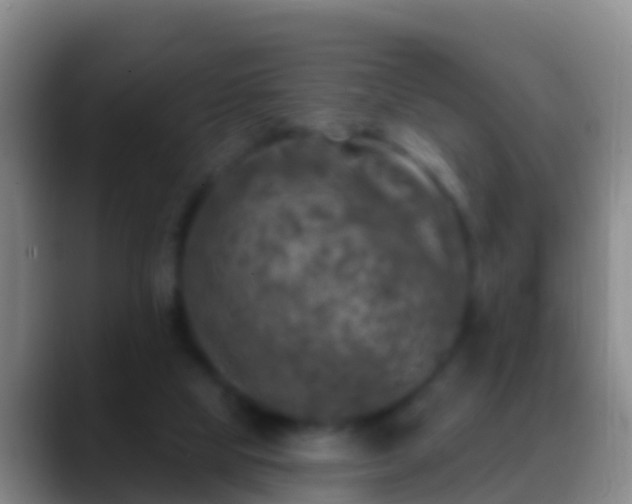 X0000088920065200706151932