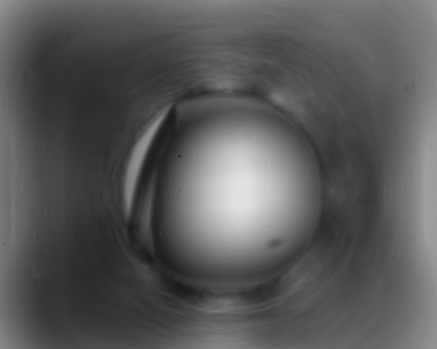 X0000088920066200706151932