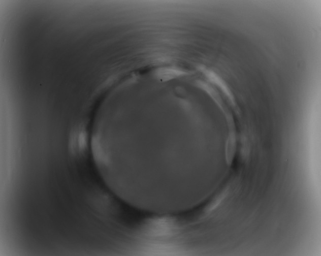X0000088920067200706151932