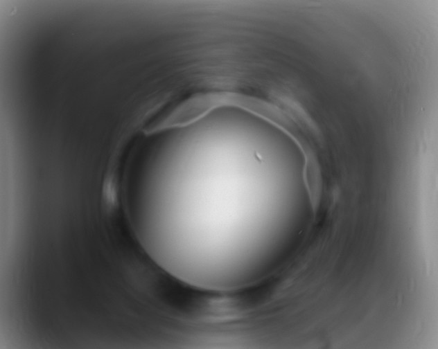 X0000088920068200706151932