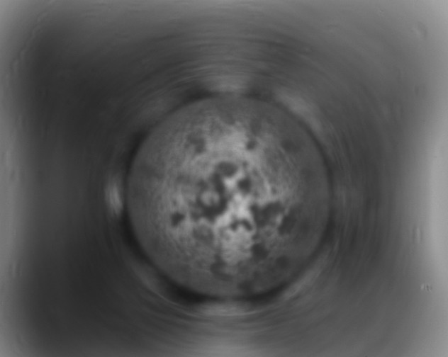 X0000088920069200706151932