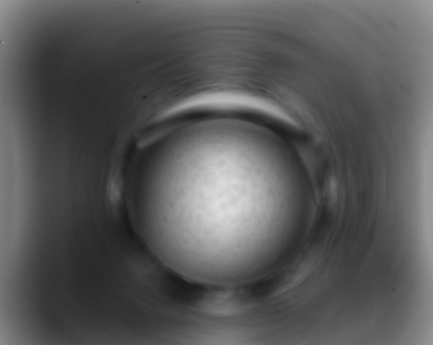 X0000088920072200706151932