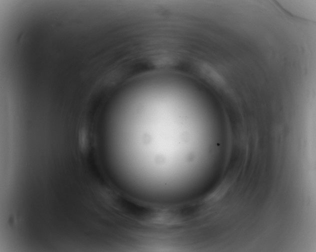 X0000088920074200706151932
