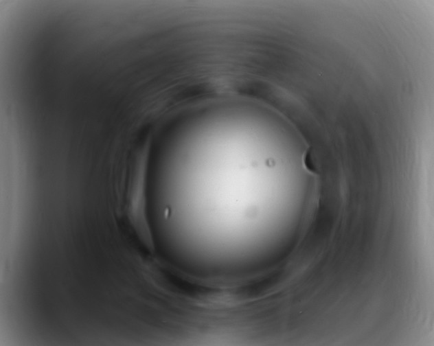 X0000088920075200706151932