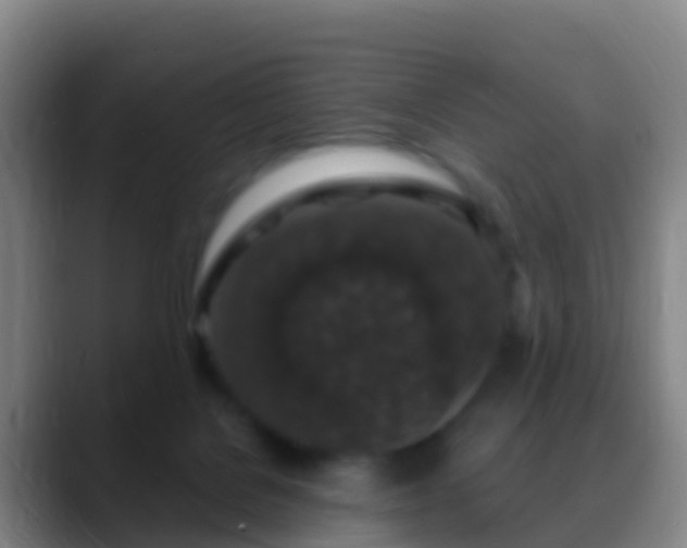 X0000088920076200706151932