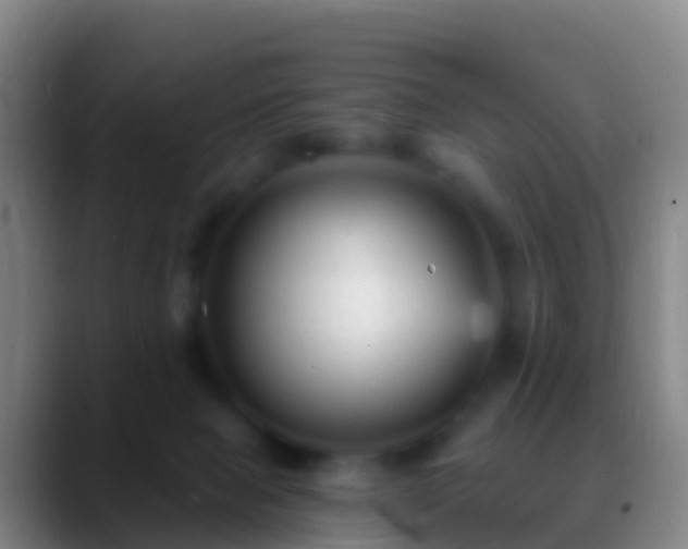 X0000088920077200706151932
