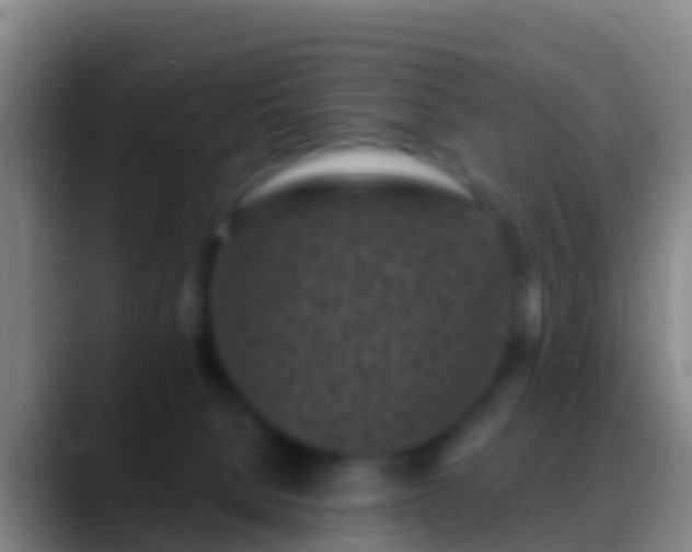 X0000088920080200706151932