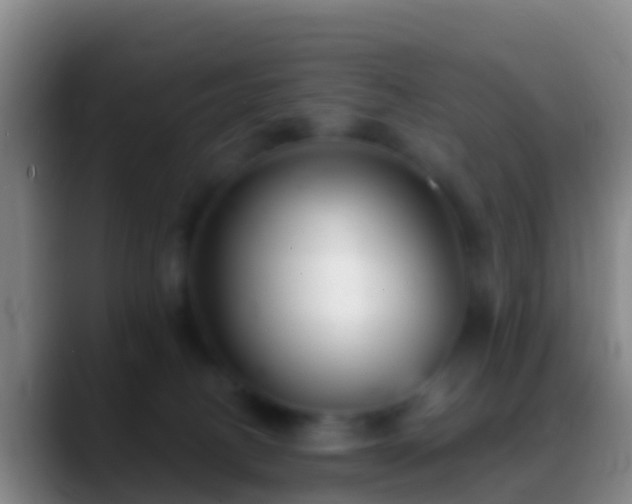 X0000088920082200706151932