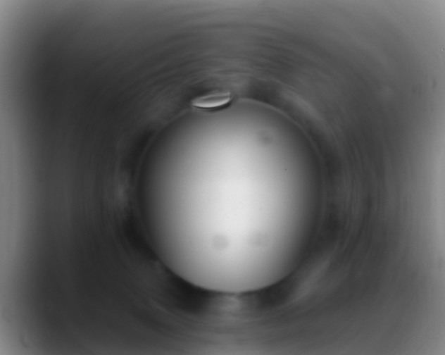 X0000088920083200706151932