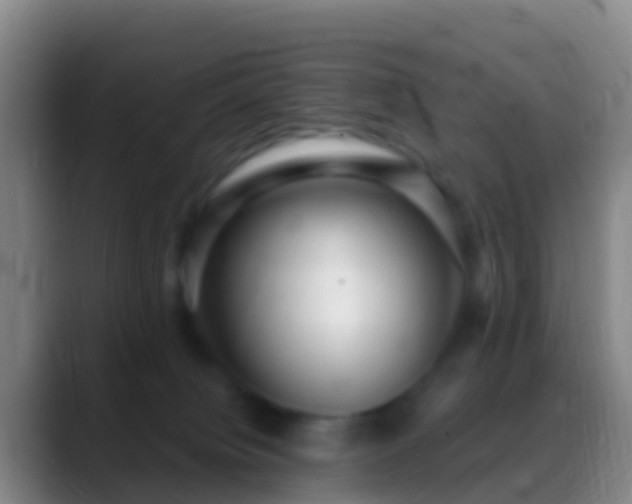 X0000088920084200706151932