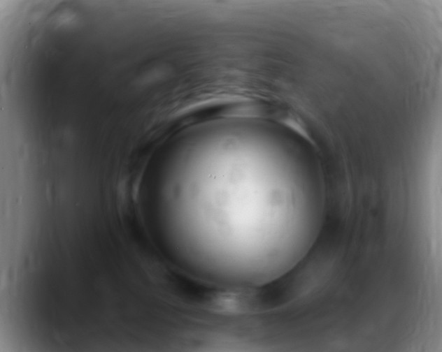 X0000088920088200706151932