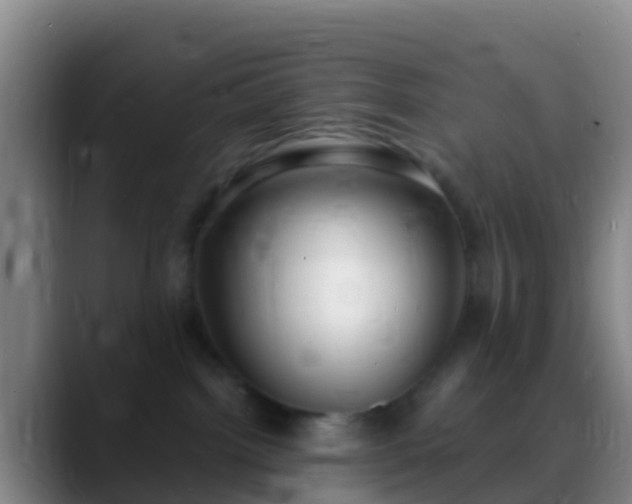 X0000088920092200706151932