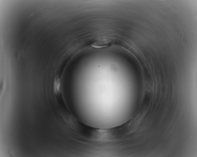 X0000088920095200706151933