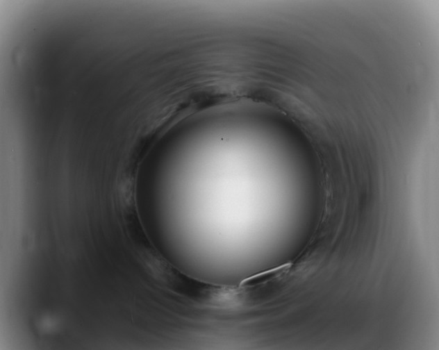 X0000088920096200706151933