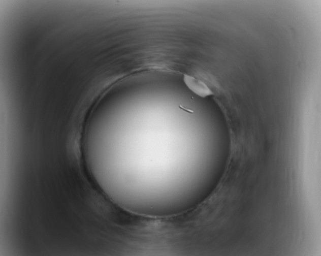 X0000088920098200706151932