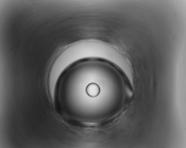 X0000088920099200706151932