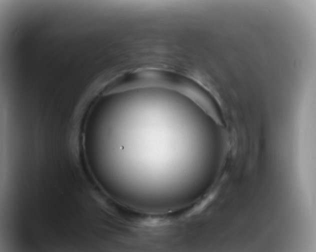 X0000088920101200706151932