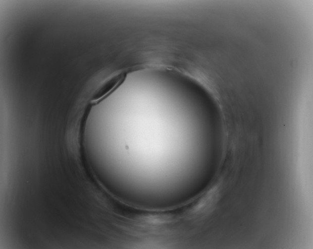 X0000088920103200706151932