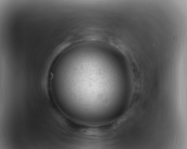 X0000088920104200706151932