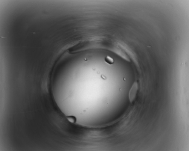 X0000088920107200706151932