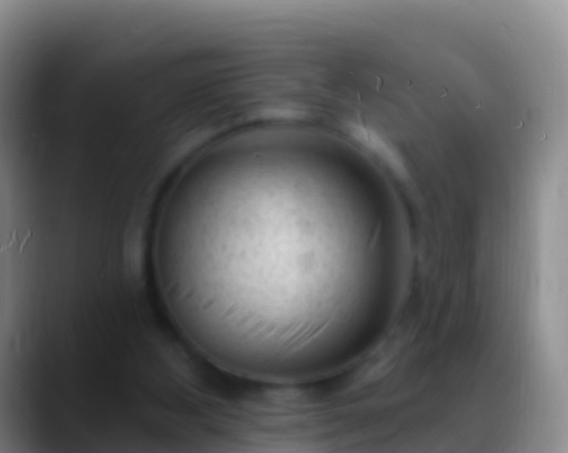 X0000088920108200706151932