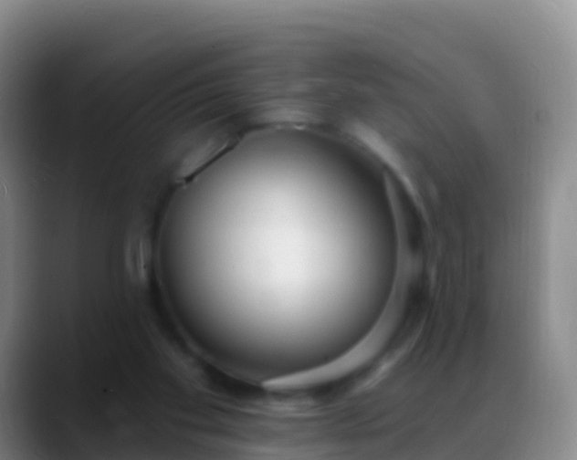 X0000088920109200706151932