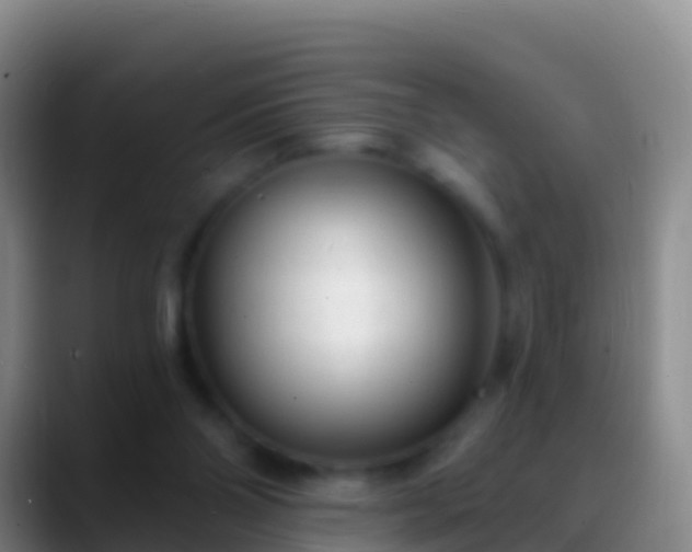X0000088920110200706151932