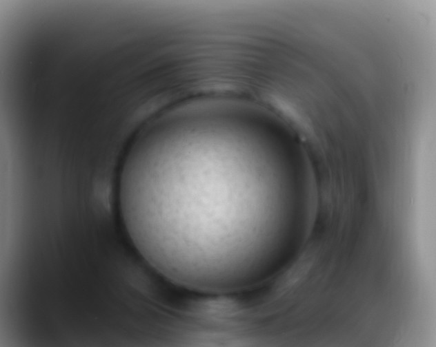 X0000088920112200706151932