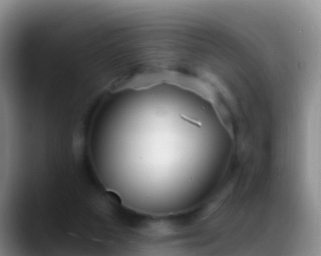 X0000088920113200706151932