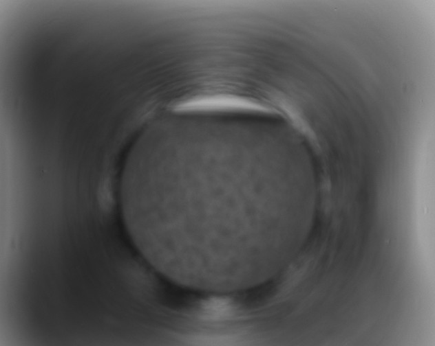 X0000088920114200706151932