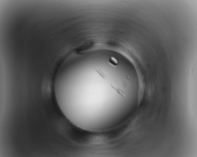 X0000088920115200706151932