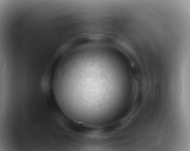 X0000088920116200706151932