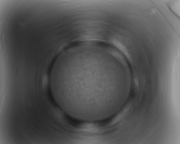 X0000088920117200706151932